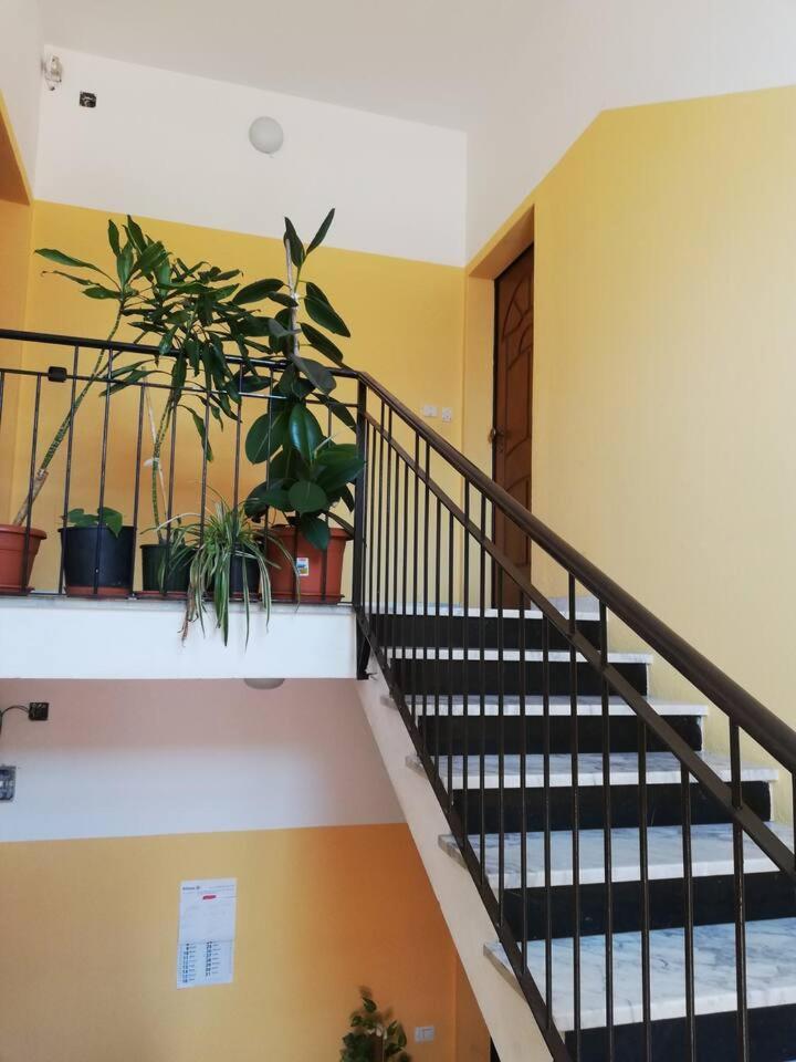 Ferienwohnung Casa Giulia Al Centro Di Olbia Codice Iun P4011 Exterior foto